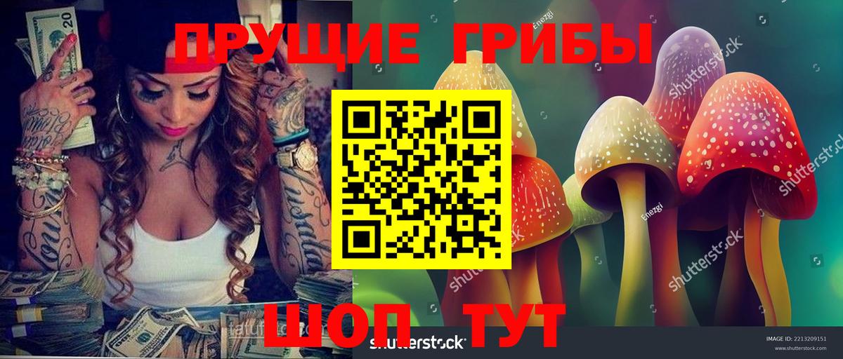 Галлюциногенные грибы Psilocybe  Вход с VPN  Жуковский 